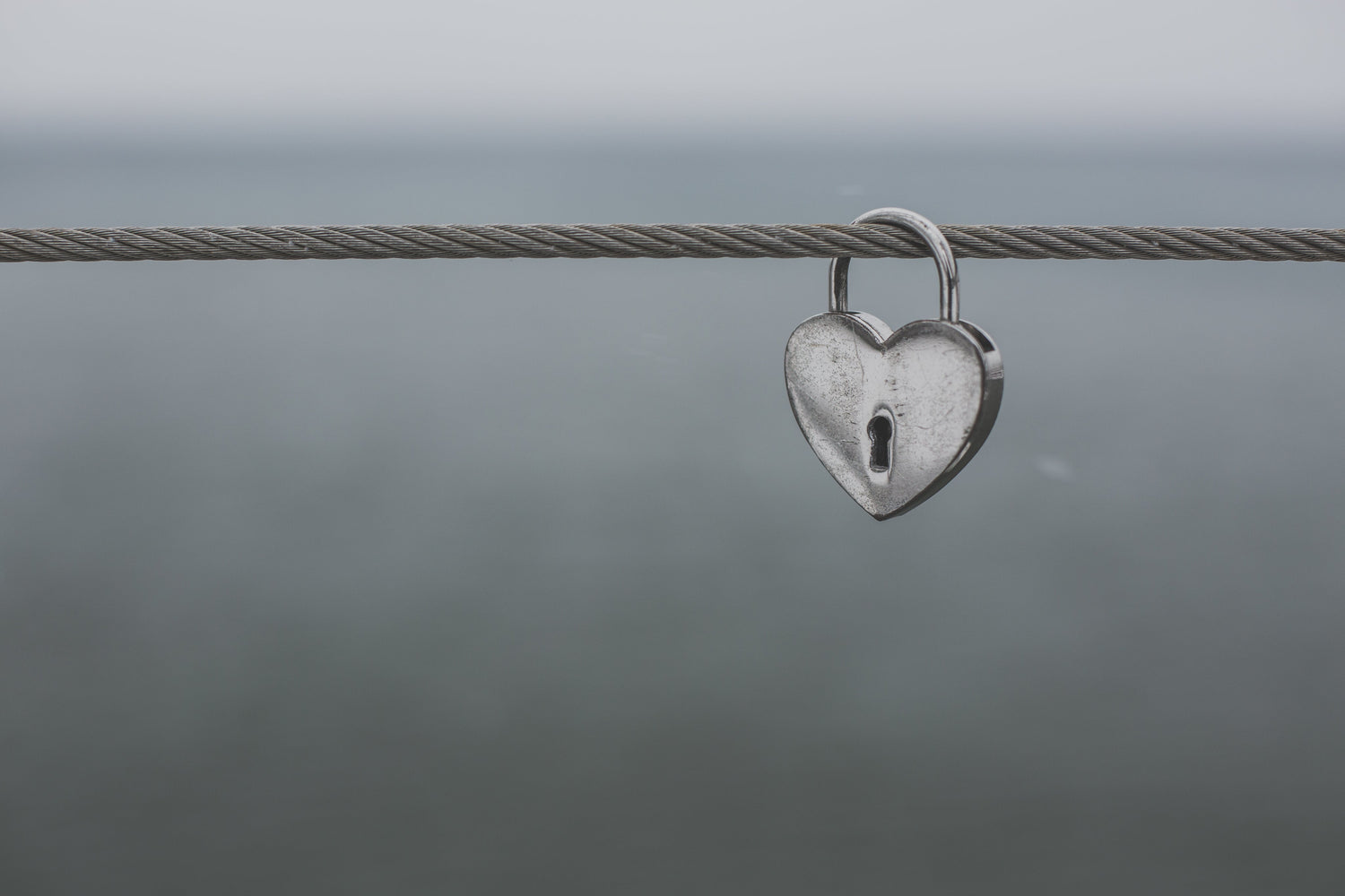 Designer Door Knockers – Brass & Antique Styles